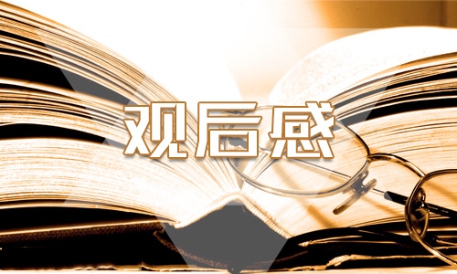 关于2020闪亮的名字最美基层高校毕业生观后感最新5篇