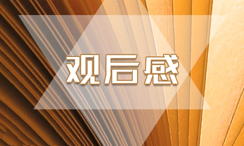 2020政治掮客苏洪波观后感_观“政治掮客苏洪波”心得体会精选5篇