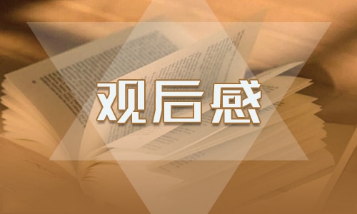 2020《雄关》大型政论片学习心得800字最新5篇