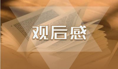 大型电视政论片《雄关》观后感5篇_第六集《向阳而生》学习心得体会