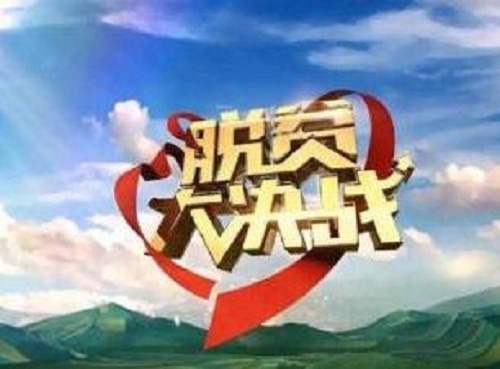 乡镇脱贫攻坚个人心得体会范文5篇