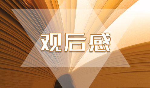 2020收看“你好，少代会”观后感心得感想6篇