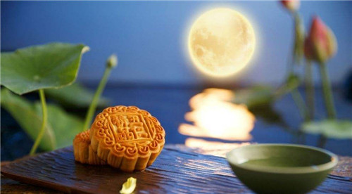 中秋节赏月吃月饼的作文范文大全