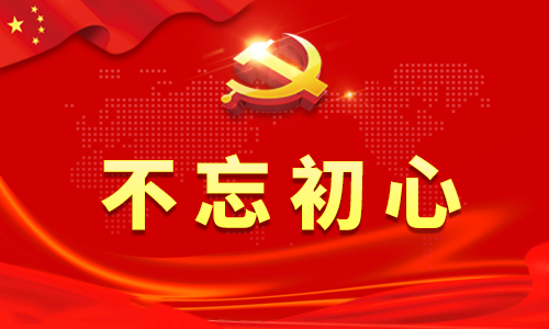 基层党员不忘初心党建工作总结会议发言稿1200字范文大全