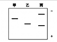 2023年全国高考生物试题(乙卷)