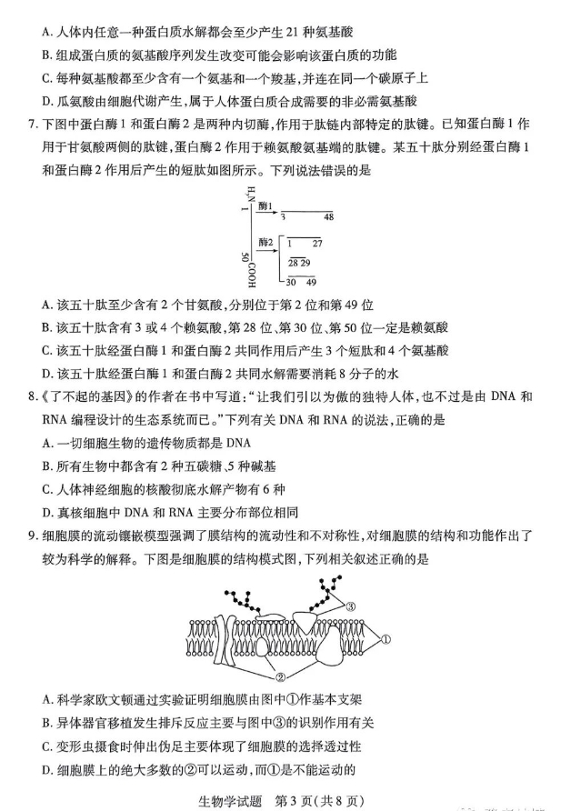 河南省天一大联考2023-2024学年(上)高一期中考生物试卷