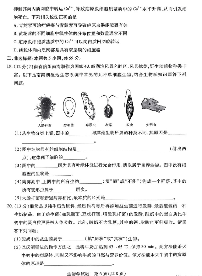 河南省天一大联考2023-2024学年(上)高一期中考生物试卷