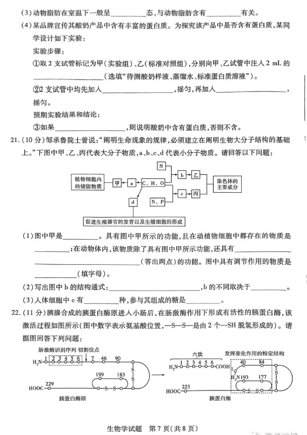 河南省天一大联考2023-2024学年(上)高一期中考生物试卷