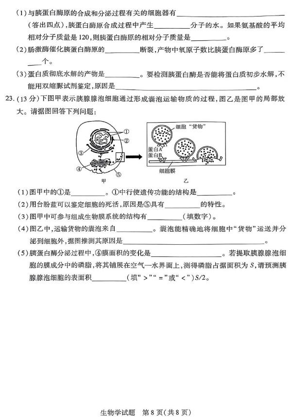 河南省天一大联考2023-2024学年(上)高一期中考生物试卷