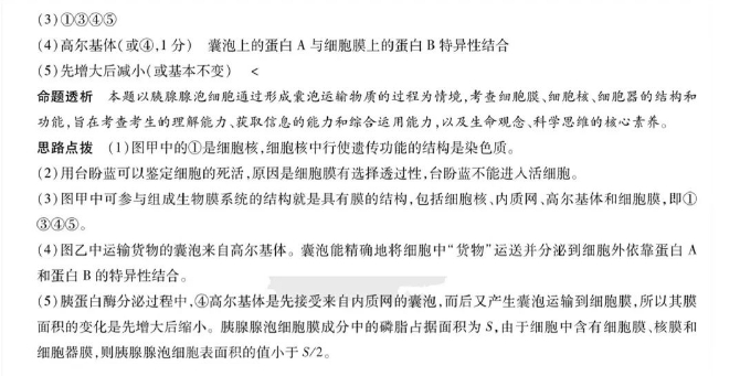 河南省天一大联考2023-2024学年(上)高一期中考生物试卷