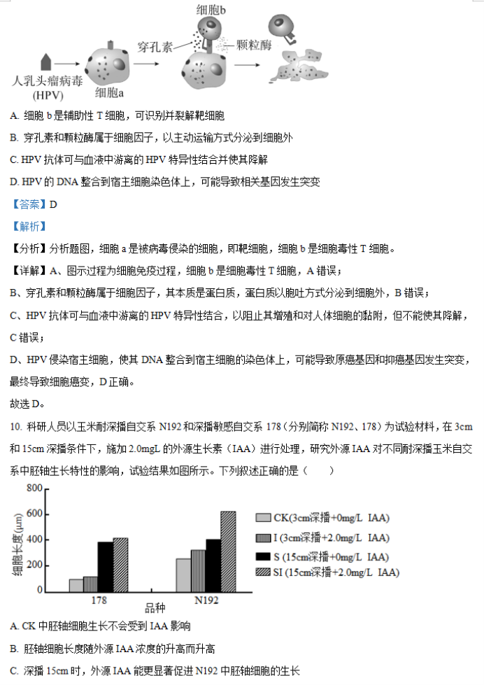 2024年湖南省邵阳武冈市高三11月期中生物试题及答案