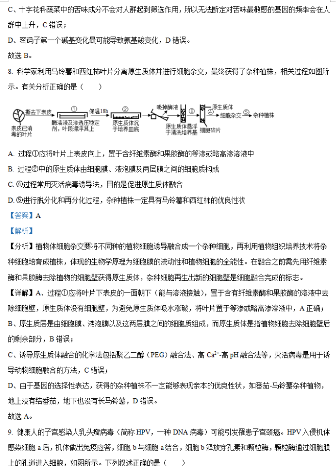 2024年湖南省邵阳武冈市高三11月期中生物试题及答案