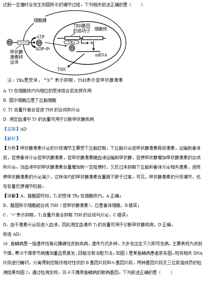 2024年湖南省邵阳武冈市高三11月期中生物试题及答案