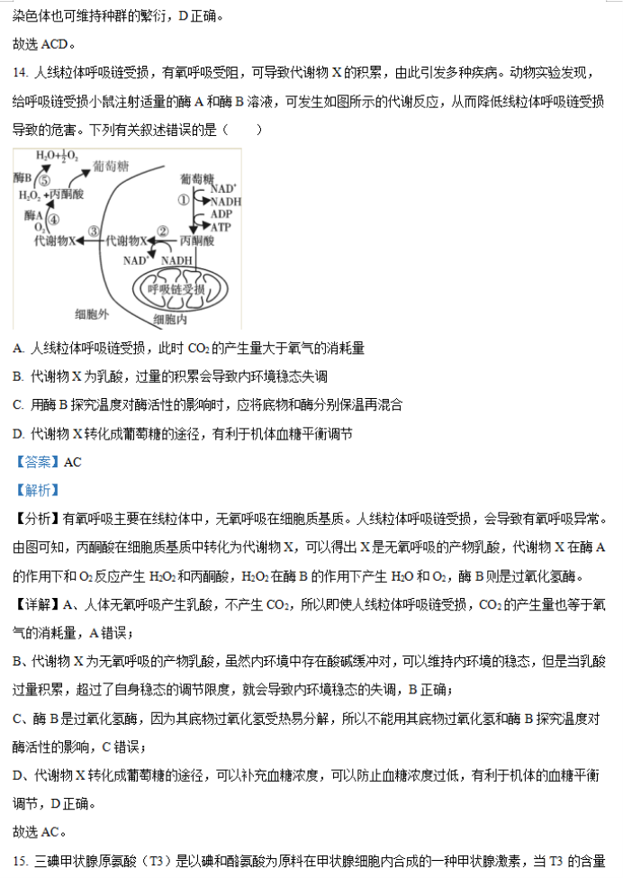 2024年湖南省邵阳武冈市高三11月期中生物试题及答案