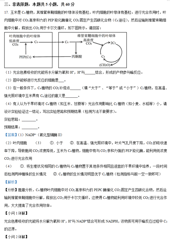 2024年湖南省邵阳武冈市高三11月期中生物试题及答案