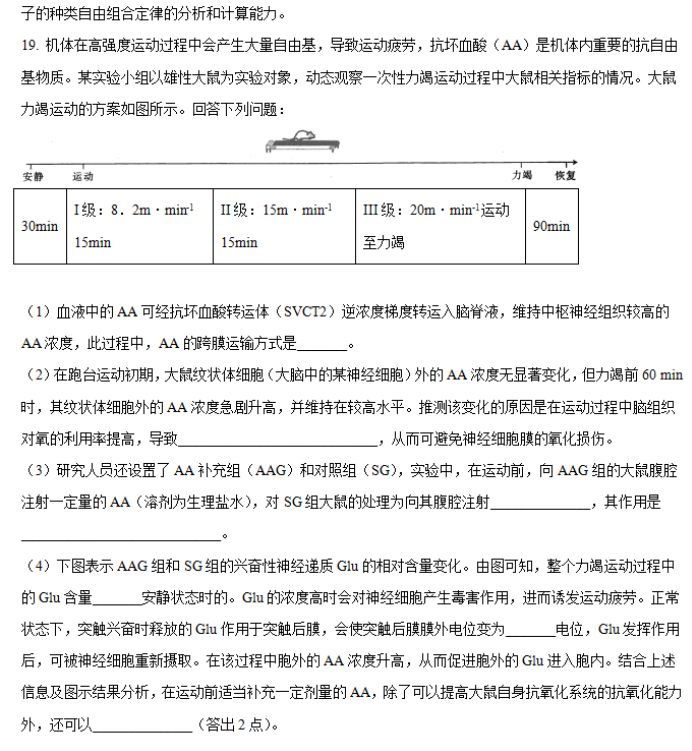 2024年湖南省邵阳武冈市高三11月期中生物试题及答案