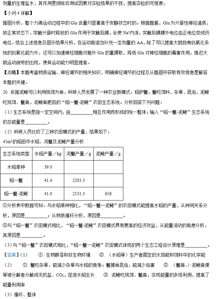 2024年湖南省邵阳武冈市高三11月期中生物试题及答案