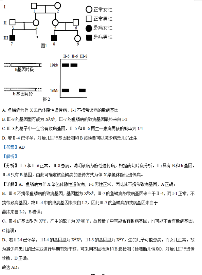 湖南省邵阳武冈市2024高三(11月)期中生物真题以及答案