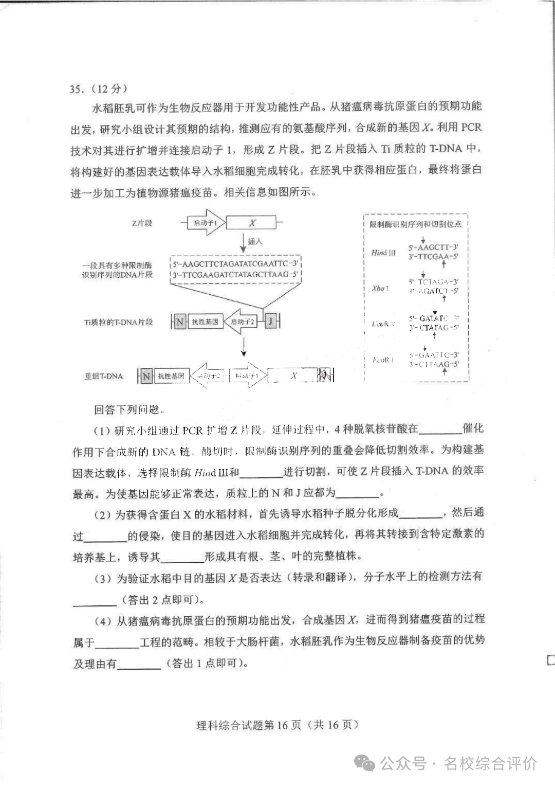 河南省2024新高考适应性测试(九省联考)理综试题