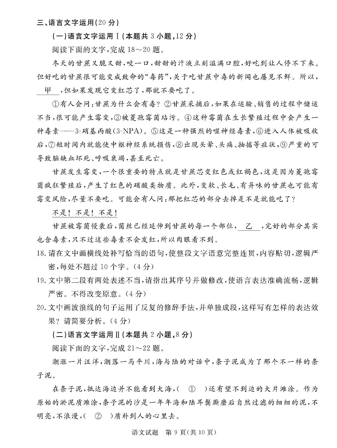 广东2024湛江高三一模语文试题及答案