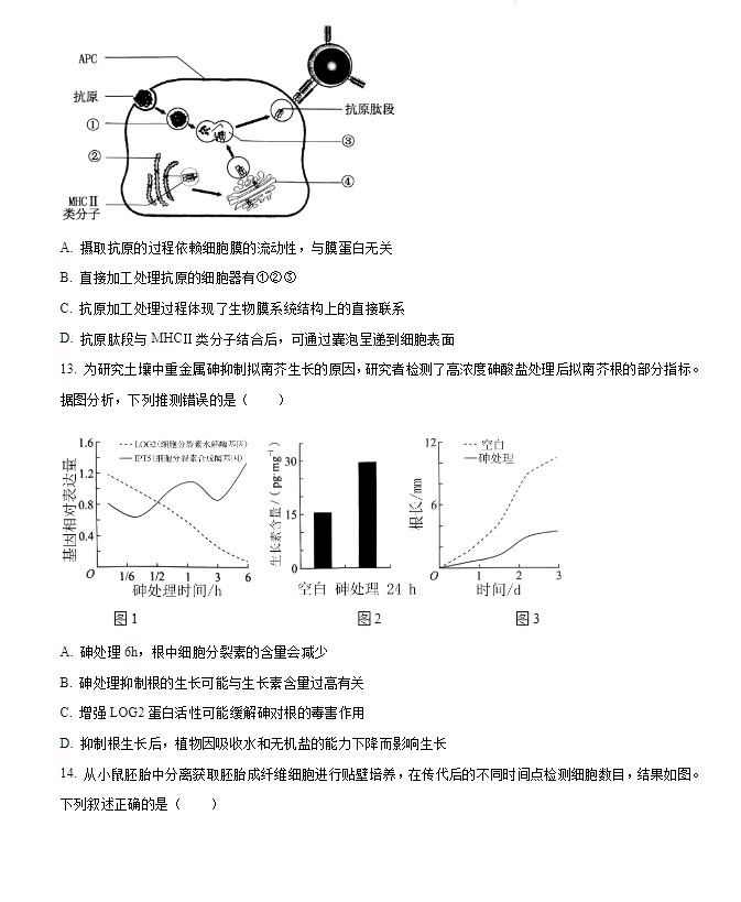 2024年吉林省高考生物试卷真题