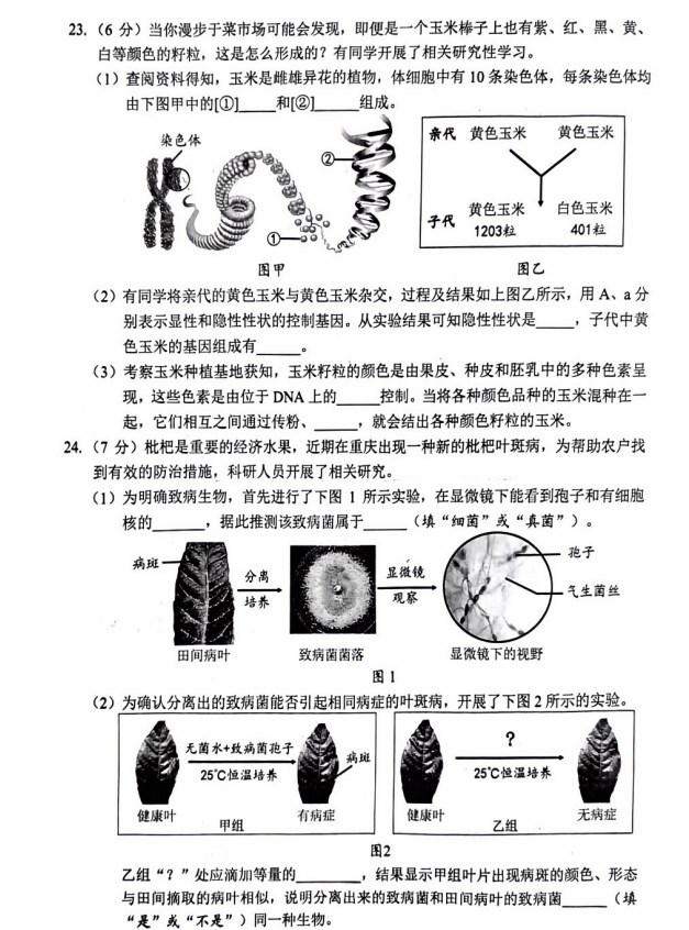 2024年重庆中考生物（A卷）真题及答案