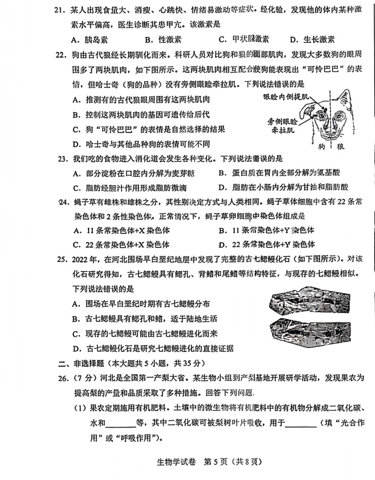 2024年河北中考生物试卷及答案