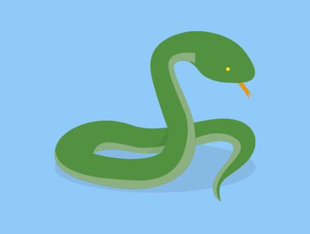 白条锦蛇是否有毒
