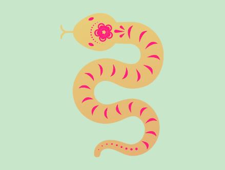大王蛇饲养密度条件