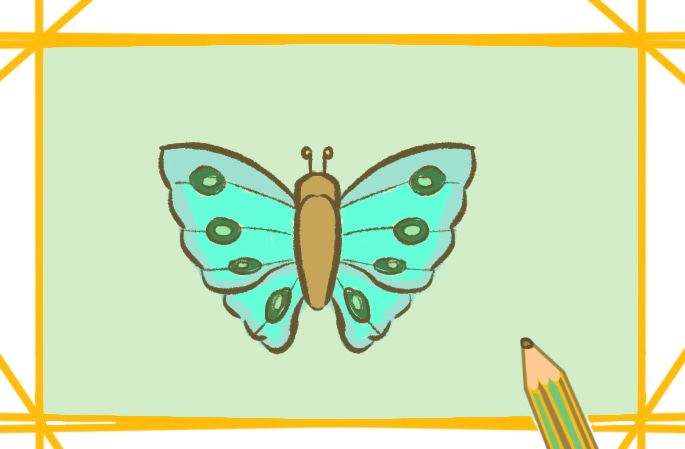好看的飞蛾简笔画教程步骤图片