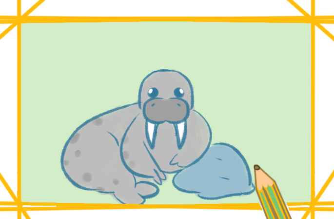 胖胖的海象上色简笔画图片教程步骤