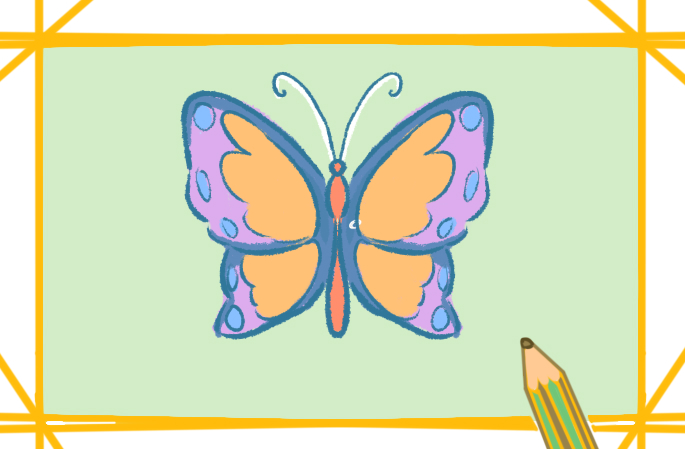 艳丽的蝴蝶上色简笔画图片教程步骤