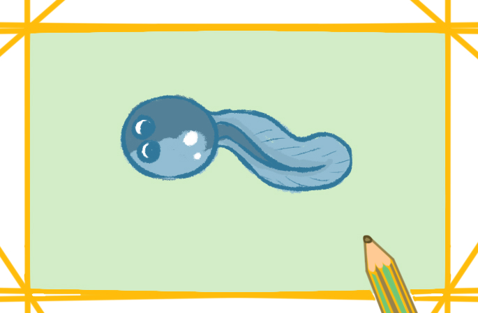 简单的蝌蚪上色简笔画图片教程步骤