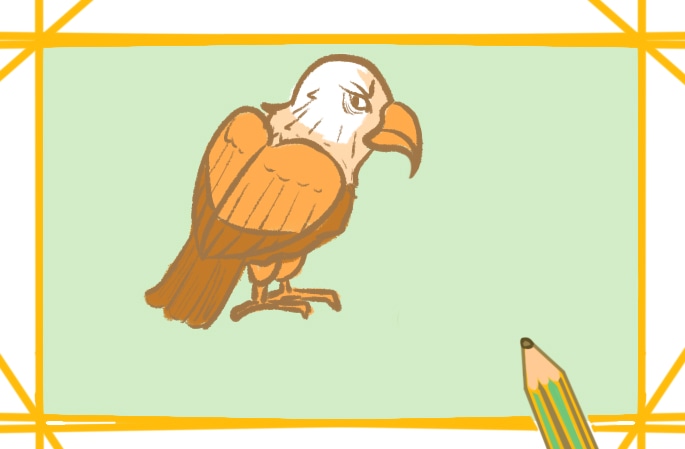 凶猛的老鹰简笔画教程步骤图片