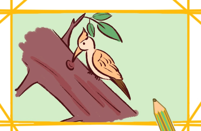漂亮的啄木鸟上色简笔画图片教程