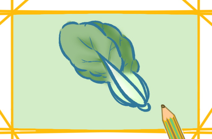 蔬菜之青菜上色简笔画图片教程步骤