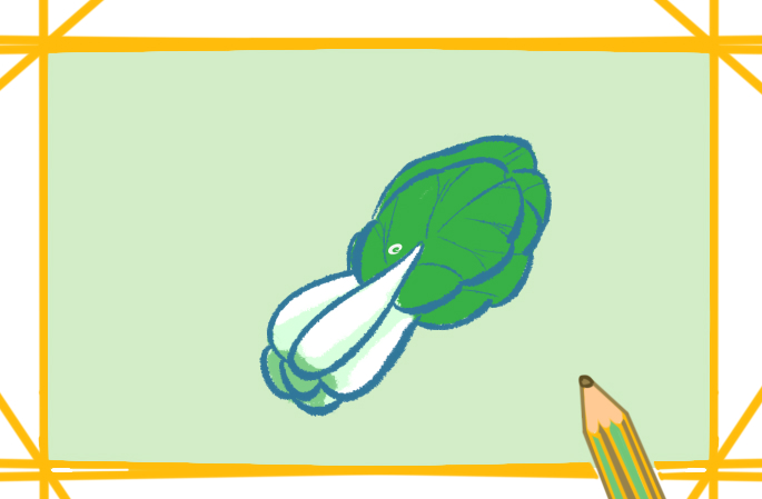 简单好看的白菜上色简笔画图片教程步骤
