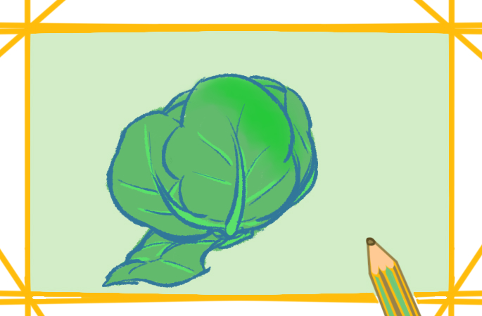 蔬菜之包菜上色简笔画图片教程步骤