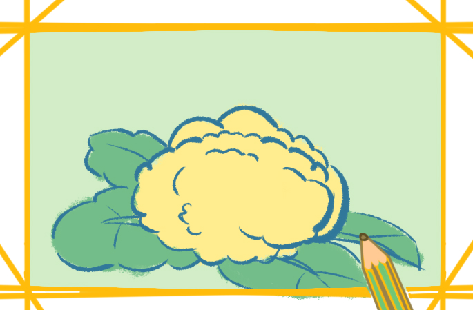 淡黄色的花椰菜上色简笔画要怎么画
