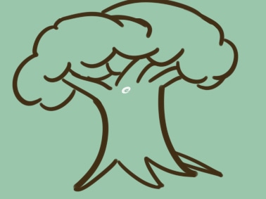 超简单的树上色简笔画图片教程
