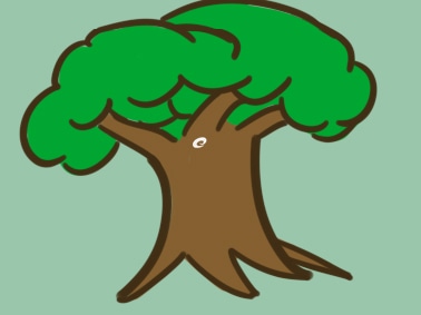 超简单的树上色简笔画图片教程