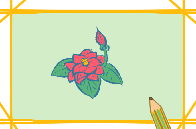 红色蔷薇简笔画简单又漂亮彩色教程
