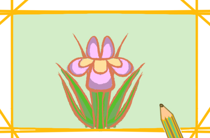 简单好看的兰花上色简笔画图片教程步骤
