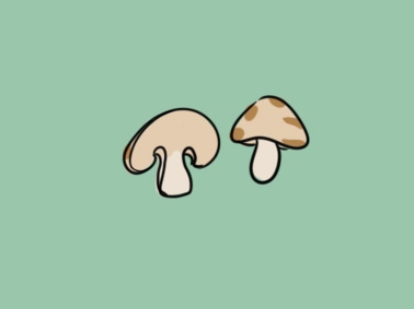 好看的蘑菇上色简笔画要怎么画