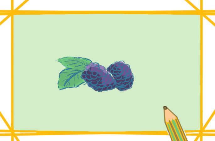 深紫色的桑葚上色简笔画图片教程