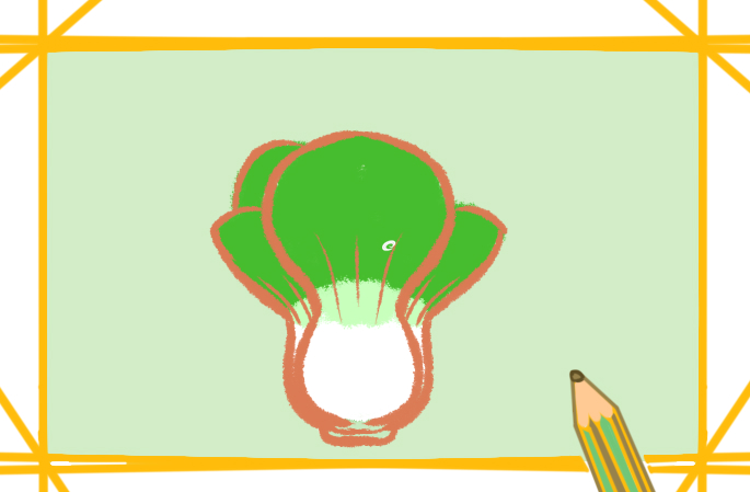简单又漂亮的青菜上色简笔画图片教程步骤