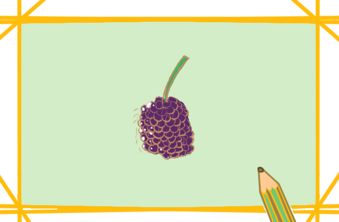 紫色的桑葚上色简笔画图片教程步骤