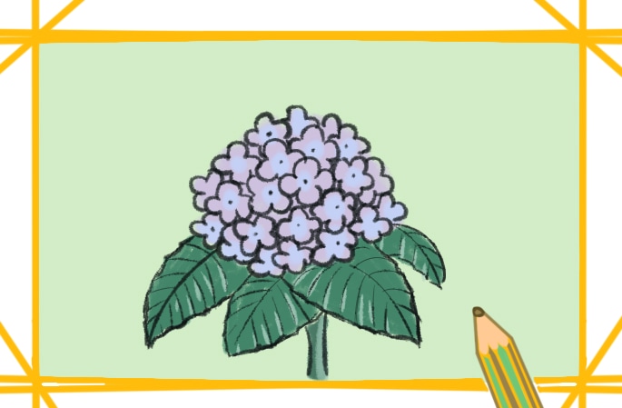漂亮的绣球花简笔画教程步骤图片