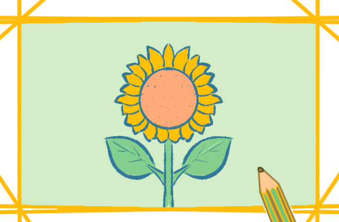 朝着太阳的向日葵上色简笔画图片教程步骤