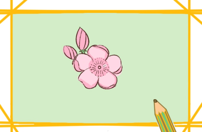 漂亮的粉色樱花简笔画教程步骤图片